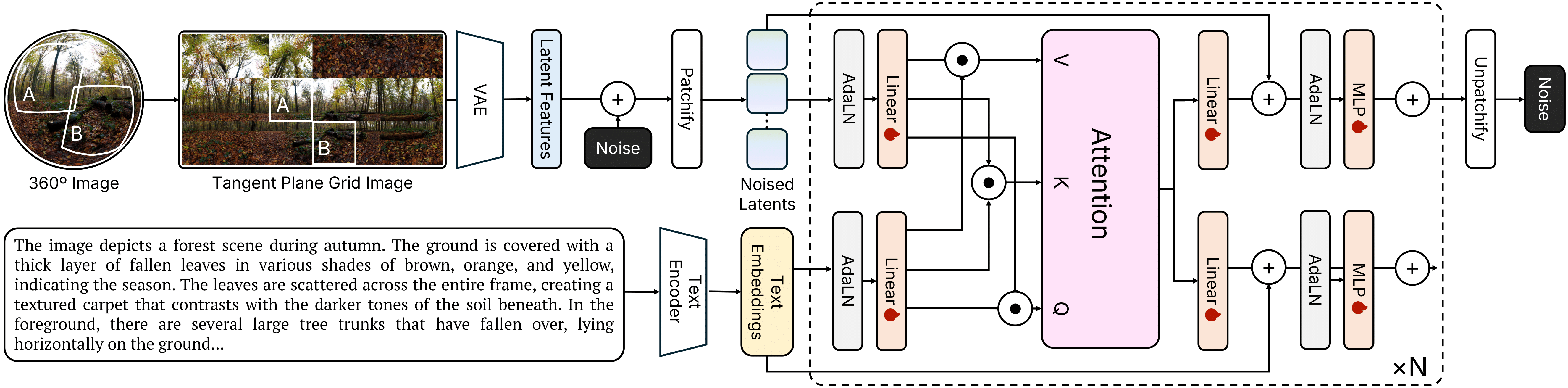 Diagram of the TanDiT training process