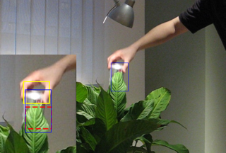 Visual overview of Deformable Part-based Tracking by Coupled Global and Local Correlation Filters